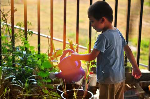 ¿Qué plantas son buenas para que los niños entren al mundo de la jardinería?