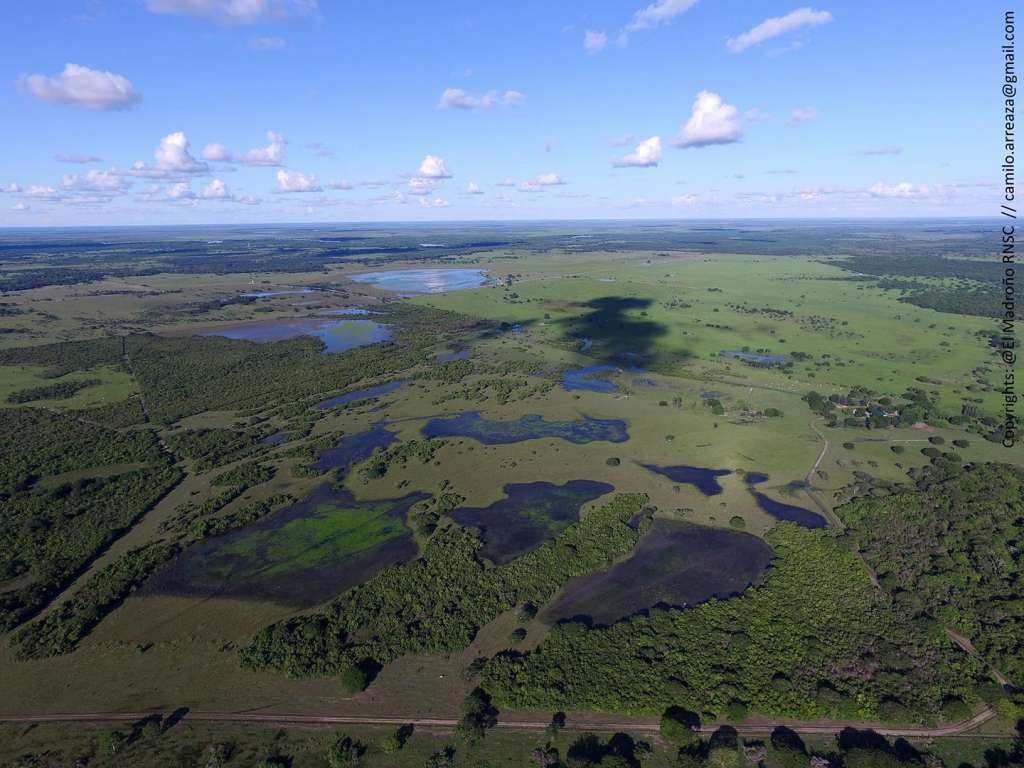 Sabanas inundables del Casanare, este ecosistema acuático corresponde al 12.5% del área de la cuenca del Orinoco.