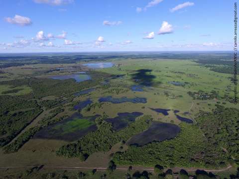 Colombia tendrá el primer Encuentro de Sabanas Naturales