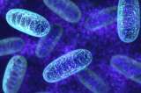 Las bacterias en aguas residuales degradarían algunos “químicos para siempre”