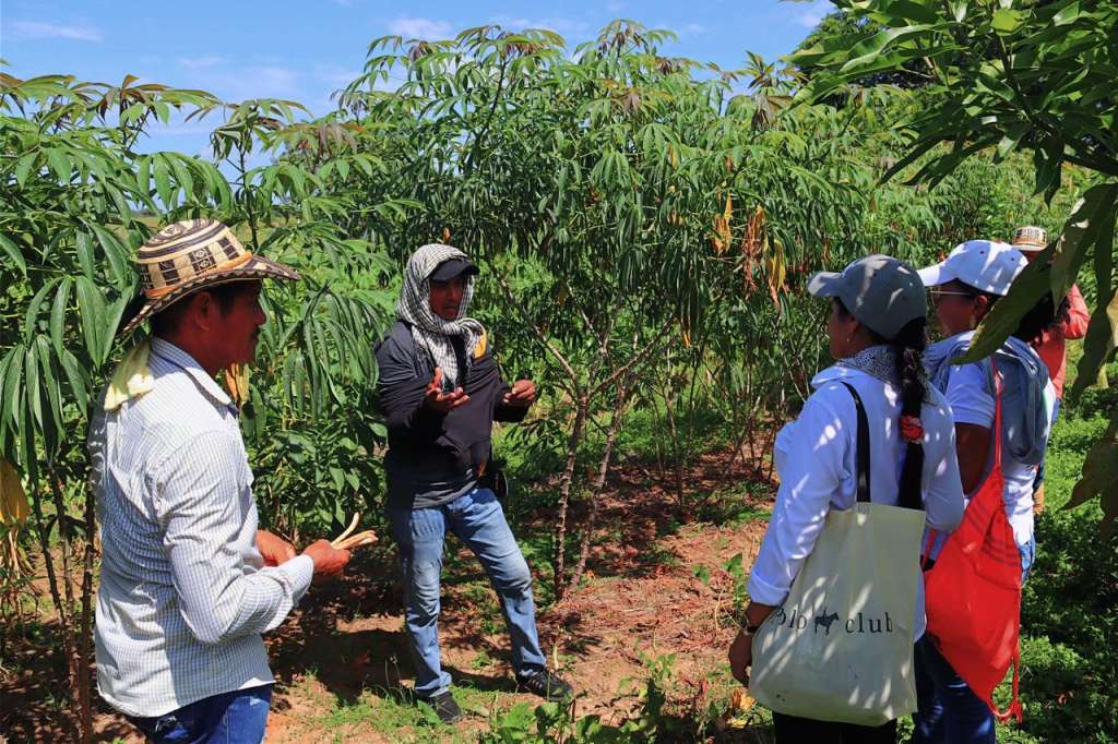La experiencia incluye también degustaciones de productos como bebidas artesanales y preparaciones ancestrales que reflejan la identidad culinaria del municipio.