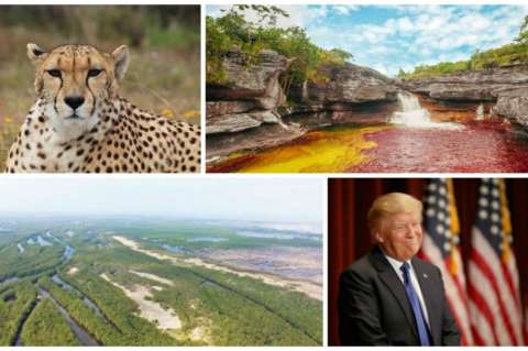 Diez de las historias ambientales más importantes de 2016