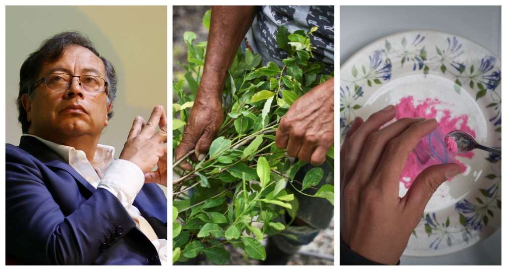 La nueva política de drogas promete fortalecer los usos ancestrales de la planta de coca, así como prevenir el consumo de drogas sintéticas y apoyar a sus usuarios con estrategias de consumo controlado.