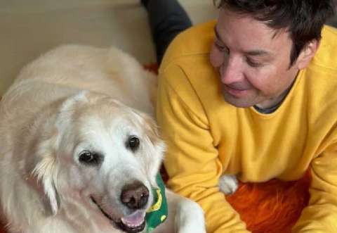 Así se despidió Jimmy Fallon de su querida perrita Gary tras 13 años juntos