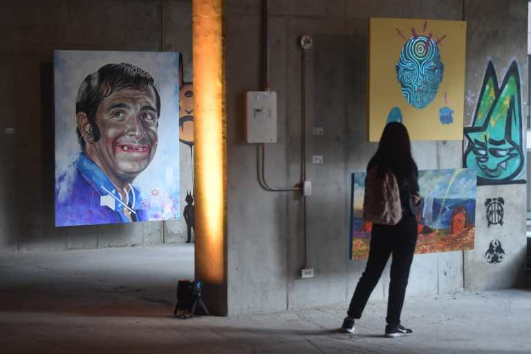 Una mujer viendo una obra