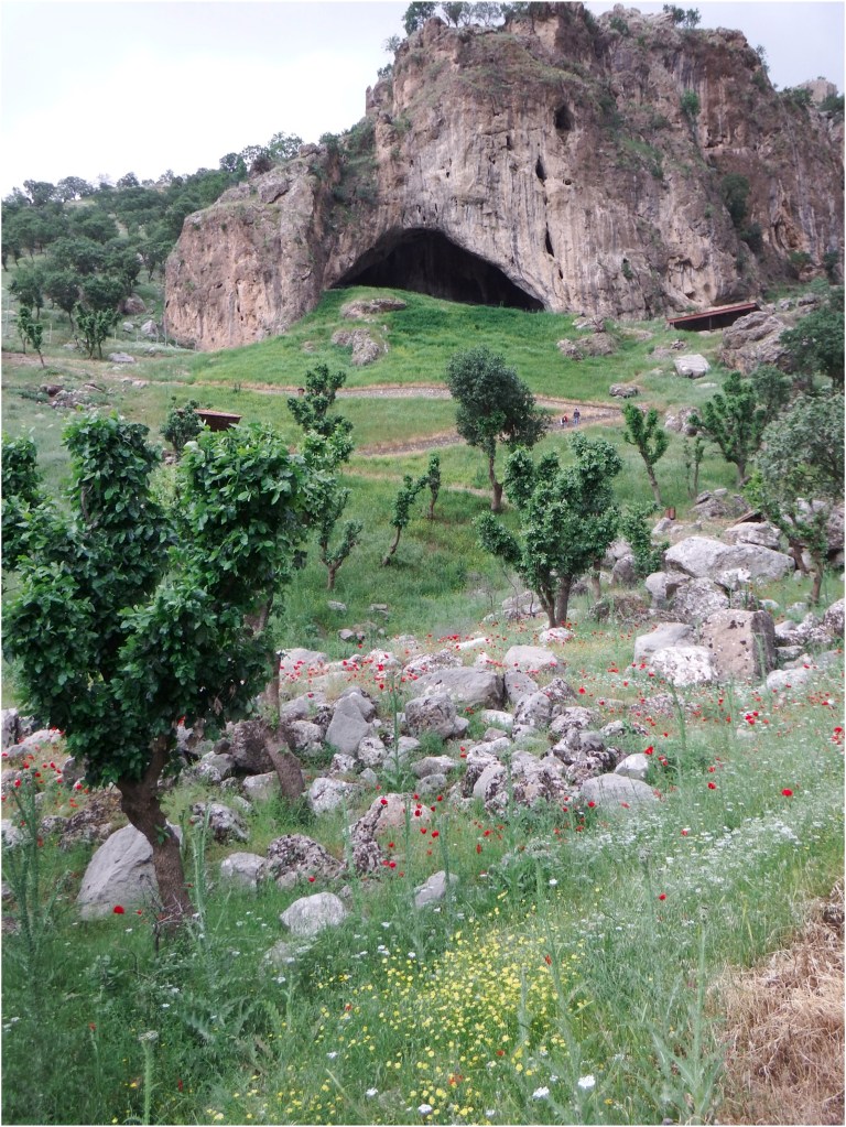 ¿Los neandertales enterraban a sus muertos con flores? Nueva evidencia derrumba esa idea