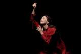 "María Estuardo", ópera sobre la reina de Escocia y su prima la reina Isabel I