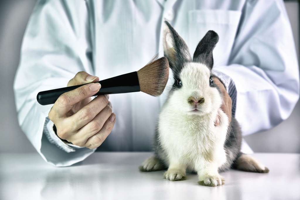 Testeo de pruebas en animales.