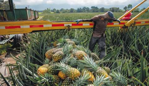 Precios al productor subieron en agosto: ¿qué implica en los gastos del hogar?