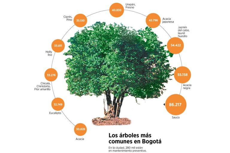 Sin empresa que cuide los árboles