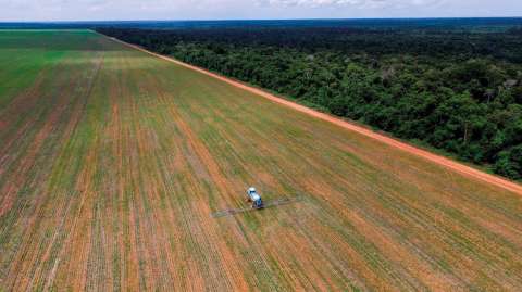 El impacto del uso de plaguicidas en la Amazonía, una actividad en aumento