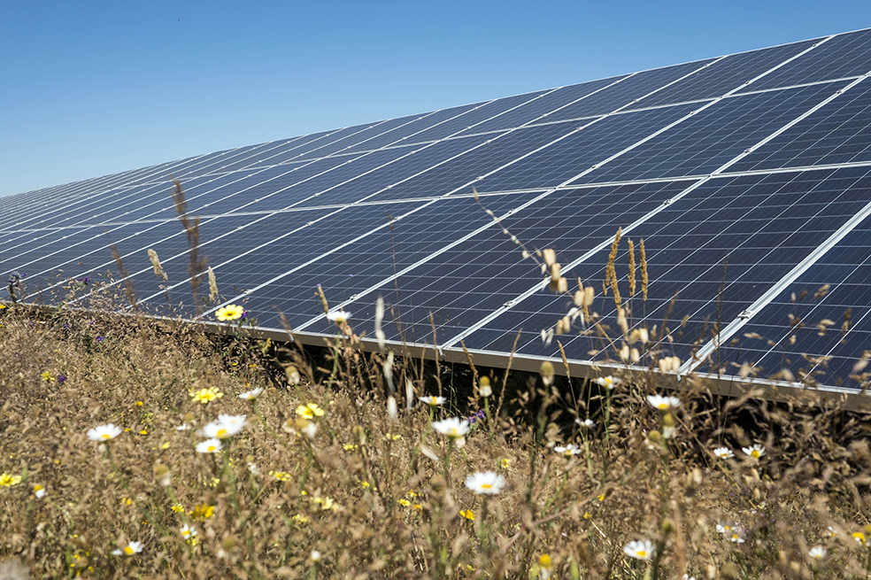 El informe da la recomendación de innovar en energías limpias. / Pixabay