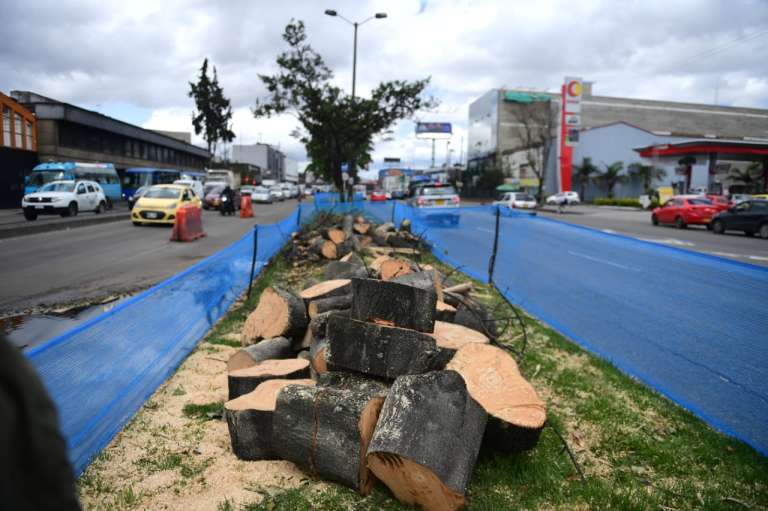 Cabe recordar que las talas no son las primeras que se realizan en la ciudad pues se trata de operativos que el Distrito ya tiene programados por la construcción de Transmilenio.