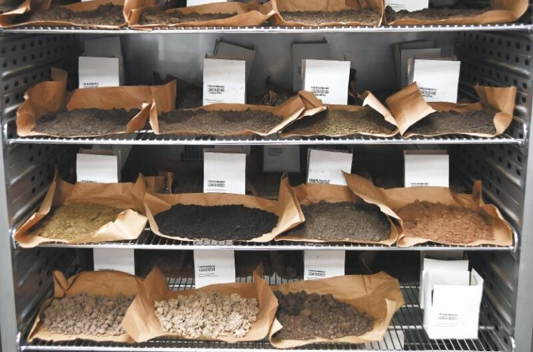 Inteligencia artificial para alimentar cultivos