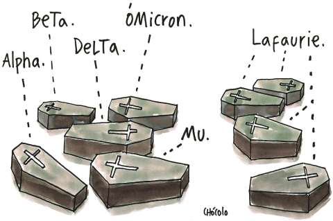 Chócolo