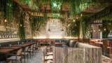 Restaurantes cannábicos