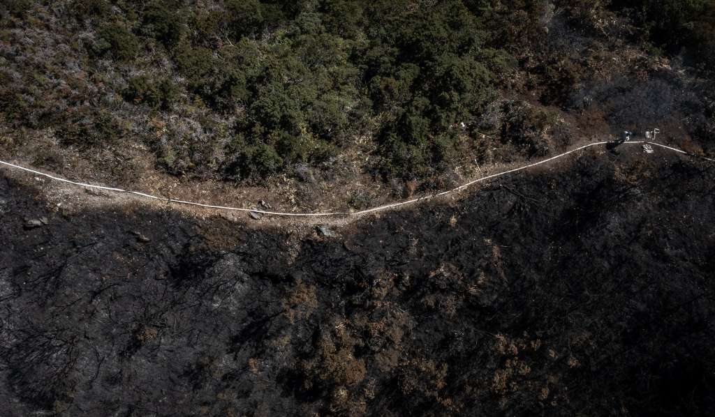 La ola de incendios causada por el fenómeno de El Niño en el arranque de 2022 ha dejado más de 12 hectáreas afectadas en los cerros orientales de Bogotá.