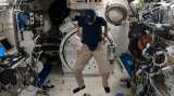 En vídeo: astronauta muestra cómo se pone los pantalones en el espacio