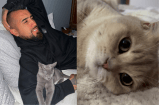 “Volvió el King”: tras varios días perdido, el gato de Arturo Vidal regresa a casa