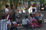 Colombia, uno de los países que impulsaron nuevo récord de migrantes irregulares en EE. UU.