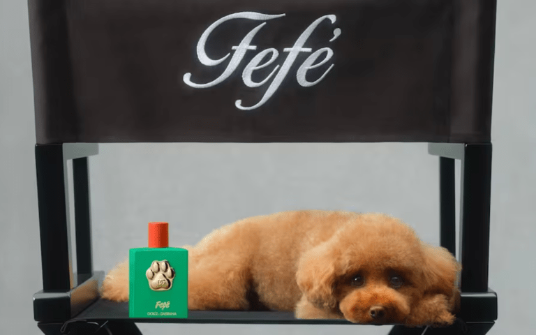 Dolce & Gabbana lanza al mercado un perfume para perros: ¿cuánto cuesta?