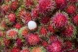 Rambután, la joya tropical de Asia: ¿para qué sirve realmente?