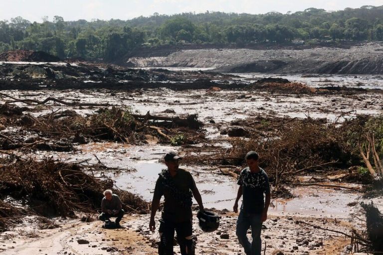 El vertido de Brasil destruyó 125 hectáreas de bosque