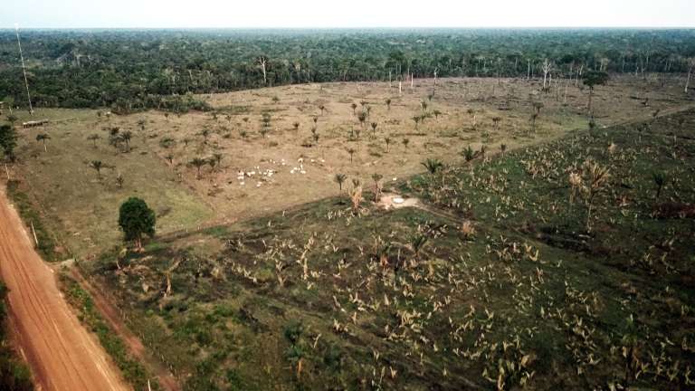 Indígenas Mura, en Brasil y su lucha por proteger la Amazonia su territorio.