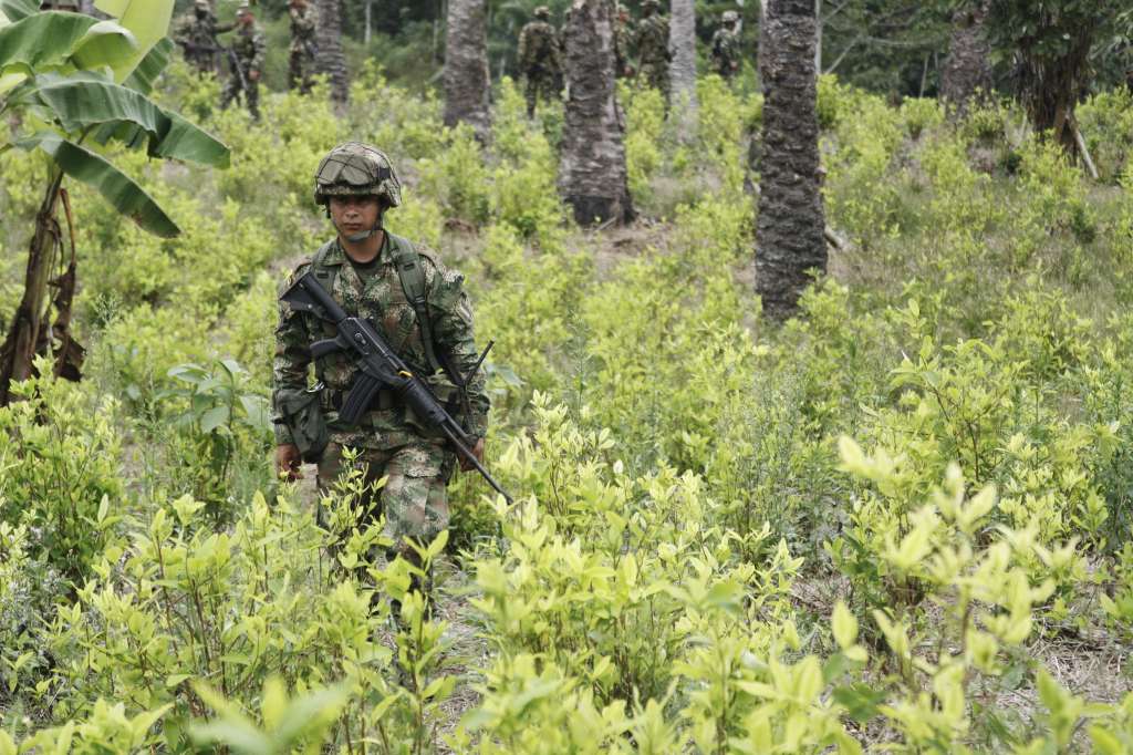 Miembros del Ejército ejercen labores de erradicación de arbustos de coca en zona rural de Tumaco. / Germán Gómez