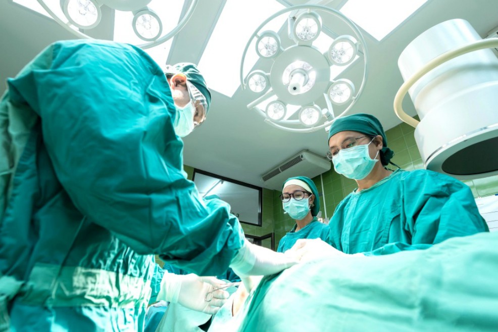 (Imagen de referencia) Un grupo de médicos trasplantó el hígado de un cerdo a un paciente con cáncer. Los resultados muestran el potencial de este tipo de procedimientos, pero también los retos que aún enfrenta este campo.
