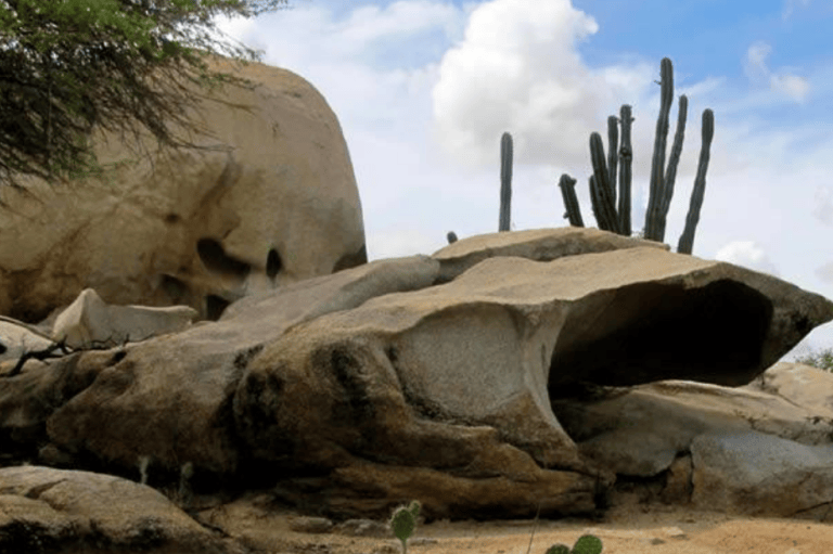 Parque Nacional Natural Macuira
Es una reserva de vida, cultura y tradición del pueblo Wayuú. Igualmente, es un oasis verde dentro del área semidesértica de la alta Guajira que incluye bosques de niebla, bosque seco tropical y bosques de galería. Este parte está catalogado como un área de importancia para la conservación de aves de Colombia y el mundo. Tiene una extensión de 24.103 hectáreas, que corresponden a un macizo montañoso que forma la serranía más septentrional de Suramérica.