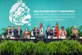 Ya hay un nuevo acuerdo para proteger la biodiversidad global