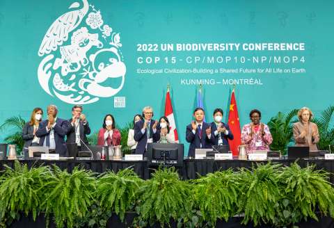 Ya hay un nuevo acuerdo para proteger la biodiversidad global