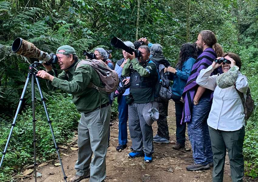 Bajo el lema “Donde hay aves, hay esperanza”, la capital del Valle del Cauca será nuevamente punto de encuentro entre la biodiversidad, la educación ambiental y la cultura ciudadana.