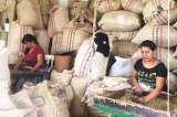 El clima cambia y los pequeños cafeteros pagan el precio