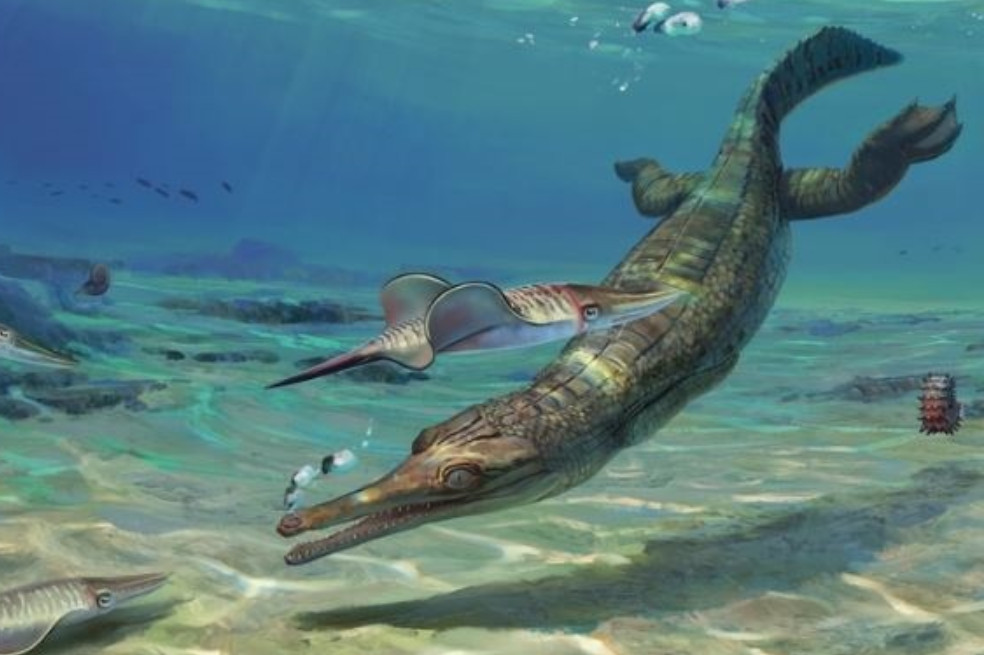 El fósil fue encontrado en la denominada costa jurásica, Dorset (Reino Unido).