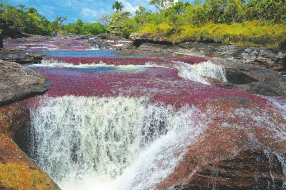 Caño Cristales, que durante tres años hizo parte de la zona de distensión, hoy es un atractivo turístico de La Macarena (Meta).  / Jhonatan Ramos - El Espectador