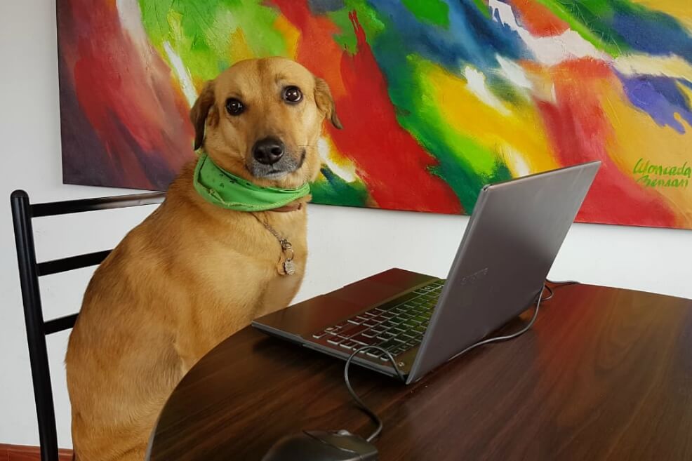 Linda Guacharaca durante sus procesos de escritura. / Cortesía