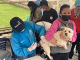 Bogotá tendrá jornada gratuita de vacunación contra la rabia para perros y gatos