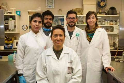 Eliminan el virus del papiloma humano en México