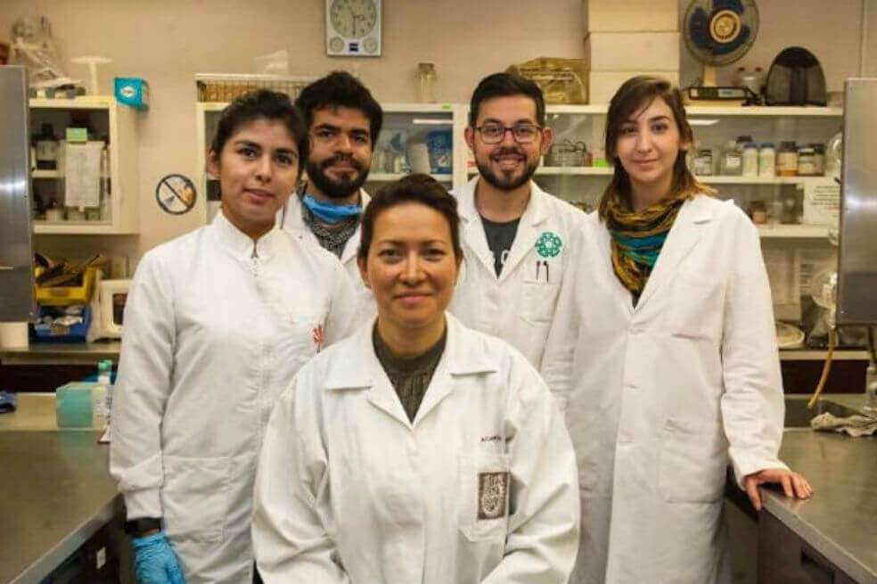 Eliminan el virus del papiloma humano en México