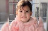 ICE detuvo a una niña de dos años y a su padre durante operativo migratorio en Minneapolis