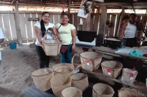 La convocatoria que apoyará a las mujeres indígenas “Cuidadoras de la Amazonía”
