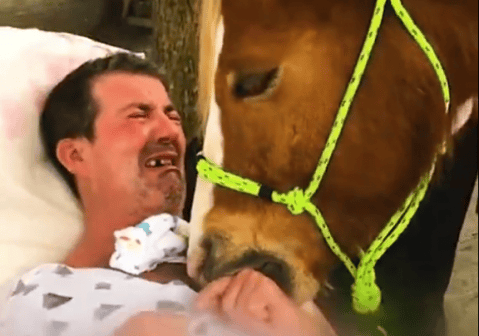 En video quedó evidenciado el poder sanador y liberador que tienen los animales