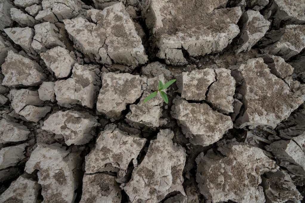 Tartous (Syrian Arab Republic), 15/09/2025.- Cracks resulting from the drying up of a large portion of the Abrash Dam in the Tartous countryside of Syria, 09 September 2025 (issued 15 September 2025). According to the Food and Agriculture Organization of the United Nations (FAO), Syria is facing a severe agricultural crisis this year due to the worst drought in more than six decades, which is seriously threatening agriculture and increasing the likelihood of food insecurity for approximately 16 million people. (sequía, Siria) EFE/EPA/AHMAD FALLAHA