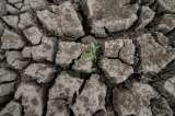 MinAgricultura activa plan preventivo ante el fenómeno de El Niño