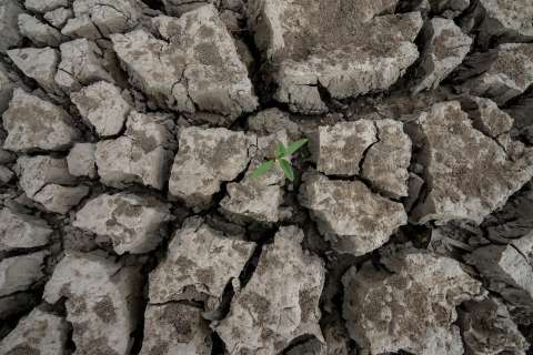 MinAgricultura activa plan preventivo ante el fenómeno de El Niño