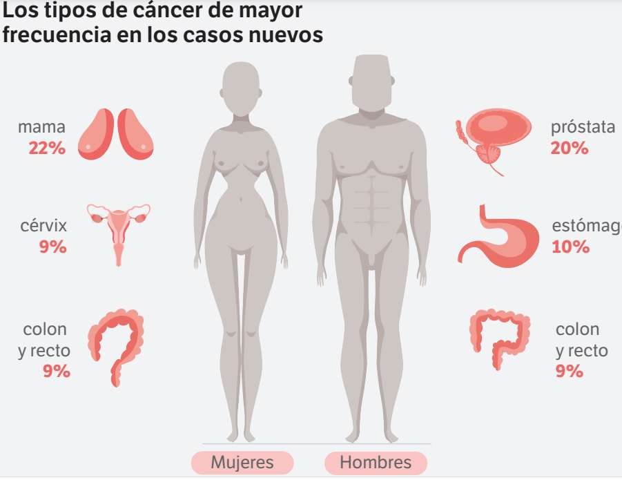Con datos de la Cuenta de Alt Costo.