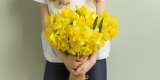 Descubre por qué las flores amarillas ayudan a atraer el dinero a tu hogar