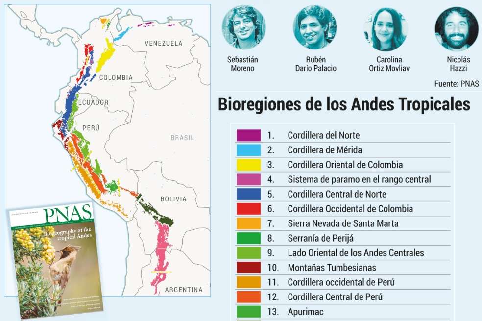 Hace dos años Nicolás Hazzi, Juan Sebastián Moreno, Carolina Ortiz y Rubén Darío Palacios tenían entre 23 y 25 años. Además de ser vecinos de un barrio de Cali, tenían un interés común: la biología. / Jonathan Camilo Bejarano - El Espectador / Información PNAS